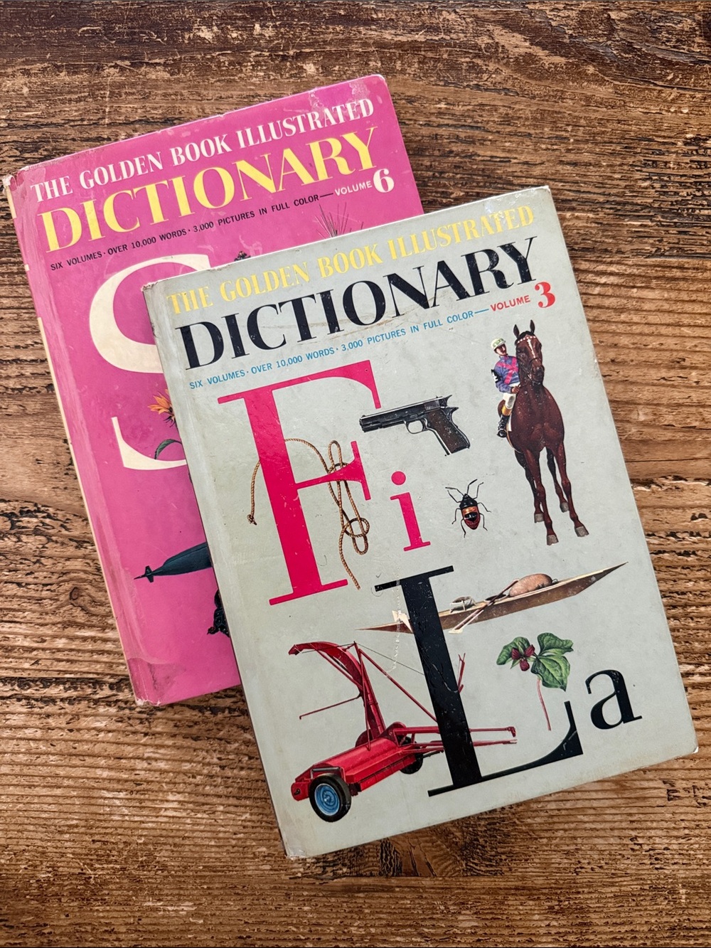 Vintage 1961 The Golden Book Illustrated Dictionary Vol 3 & 6 MCM Kids
